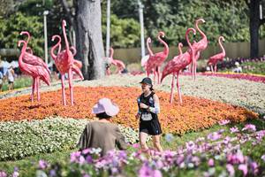 BIB: 
                            <button type="button" onclick="openModal(27793805)" class="btn btn-primary btn-sm float-right btn-popup" data-toggle="modal" data-target=".modal-high-quality">
                        <i class="fas fa-shopping-cart"></i> Add to Cart
                    </button>
                                            <button type="button" onclick="isThisMe(27793805, true)" class="btn btn-success btn-sm float-right btn-popup btn-isme hidden" data-toggle="tooltip" data-placement="bottom" title="นี่คือรูปของคุณใช่ไหม คลิกที่นี่เพื่อเอาเข้าอัลบั้ม">
                        <i class="fas fa-plus"></i> Add to album
                    </button>
                    <button type="button" onclick="isThisMe(27793805, false)" class="btn btn-warning btn-sm float-right btn-popup btn-isnotme hidden">
                        <i class="fas fa-ban"></i> Remove from album
                    </button>